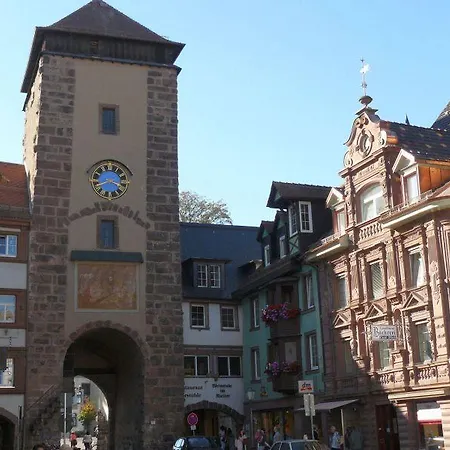Ferienwohnung Vogelsang Niedereschach