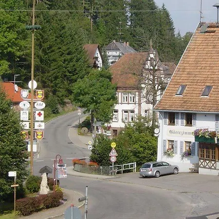 Apartment Ferienwohnung Vogelsang Niedereschach