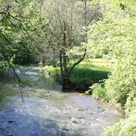 Ferienwohnung Vogelsang