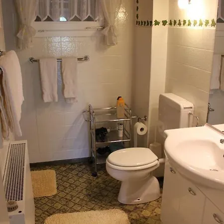 Apartment Ferienwohnung Vogelsang *