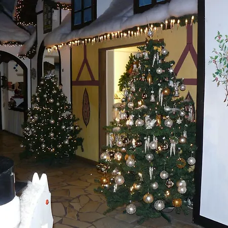 Ferienwohnung Vogelsang